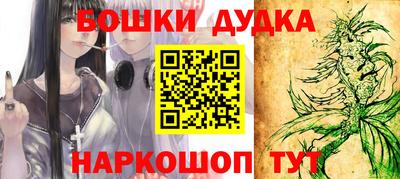 индика Будённовск