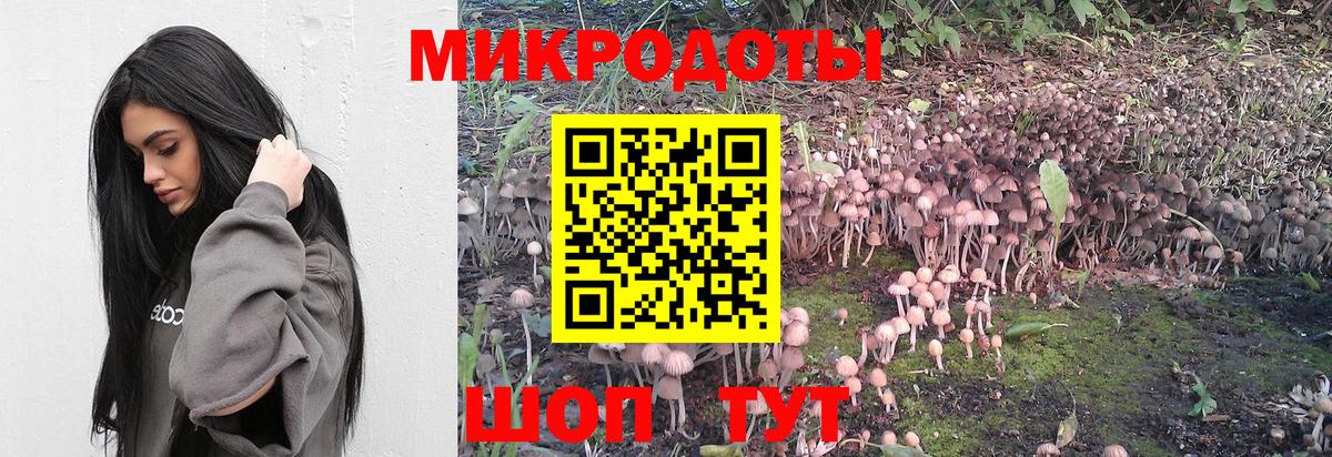 Псилоцибиновые грибы Psilocybe Нурлат