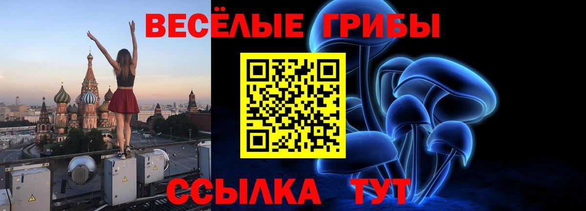 Псилоцибиновые грибы Cubensis  Вход с VPN  Нурлат 